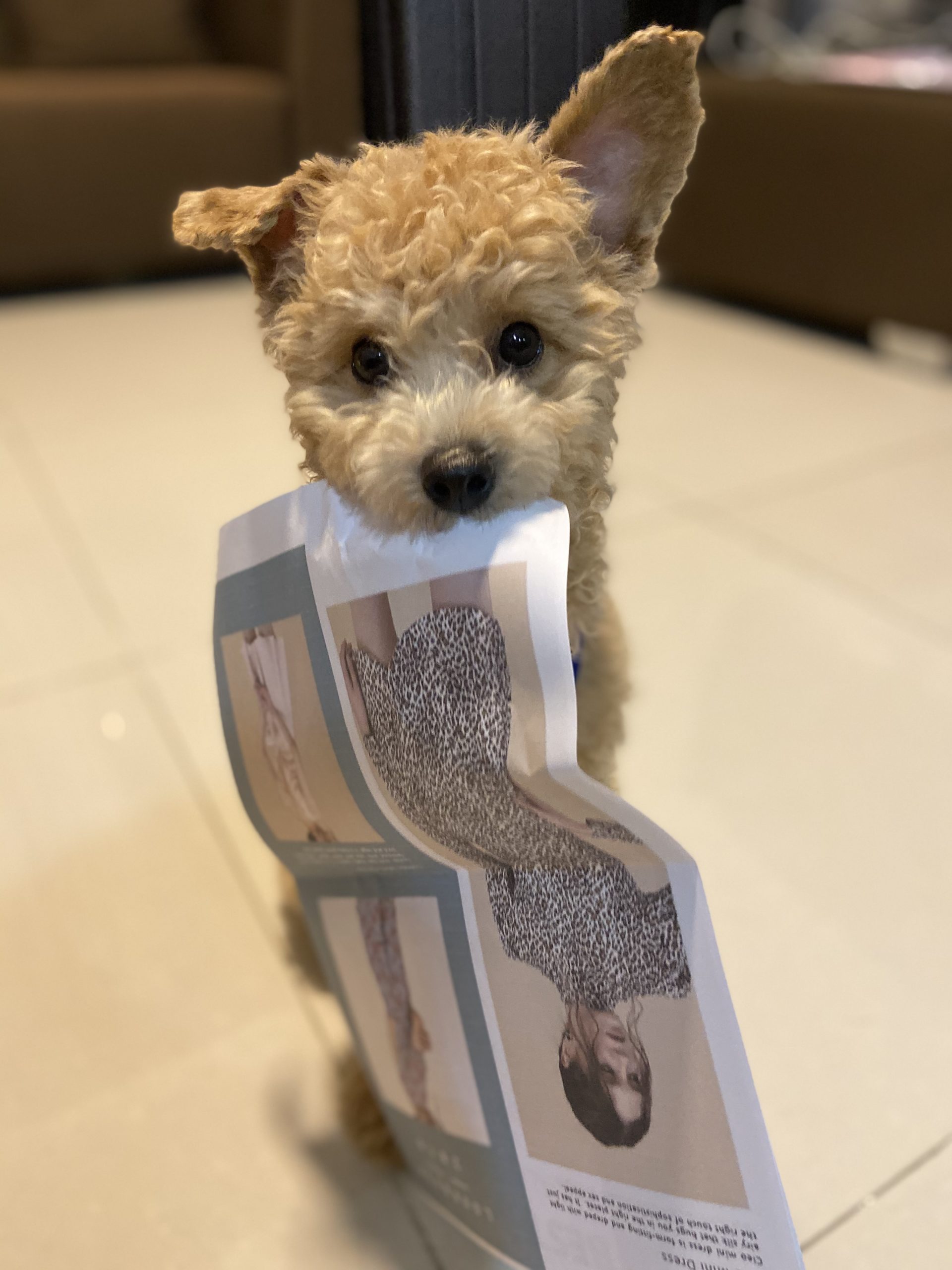 Nature-inspired palettes and petite-friendly silhouettes